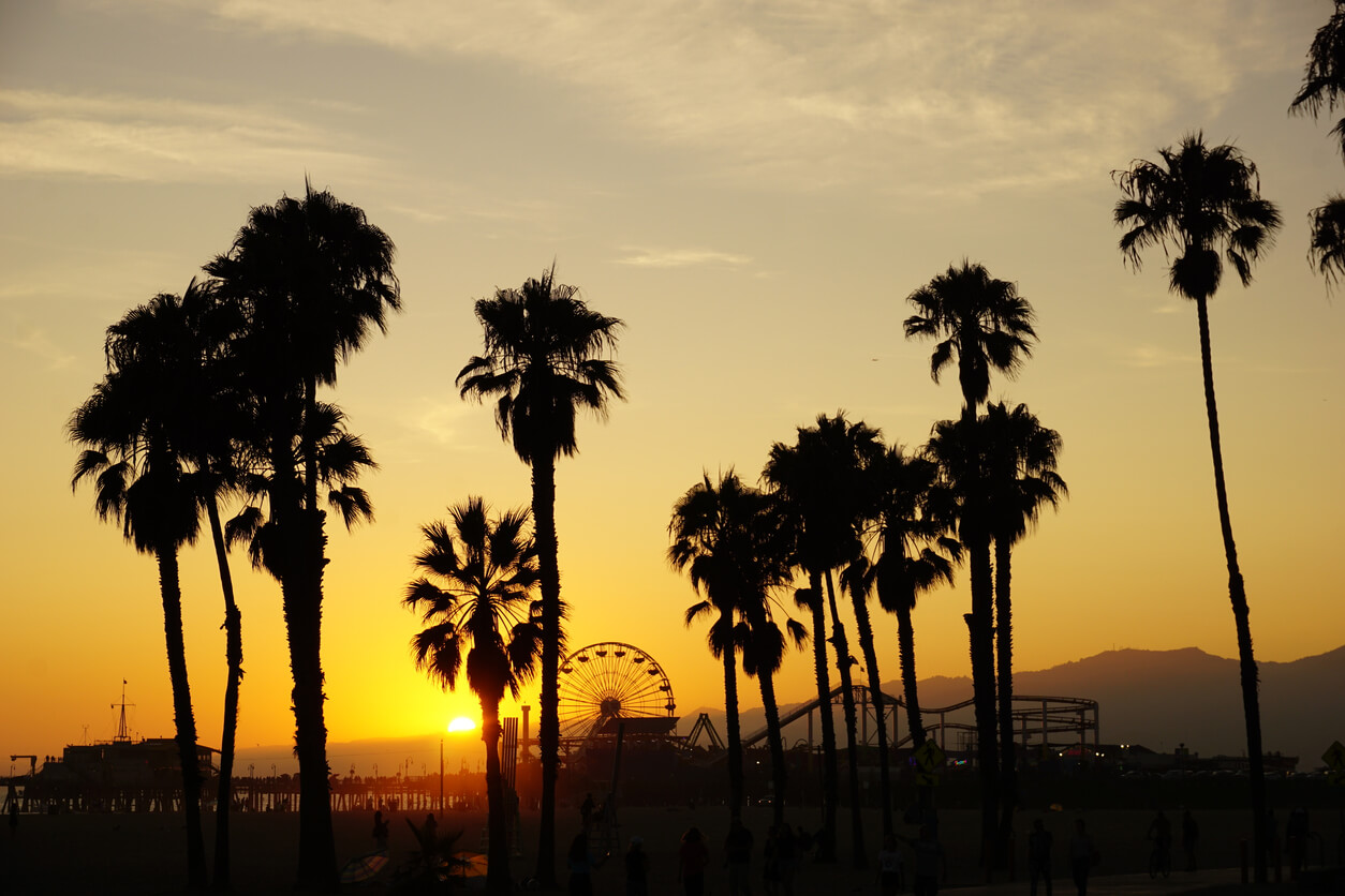 Branding Los Angeles – Design Agency Branding Los Angeles - Design Agency