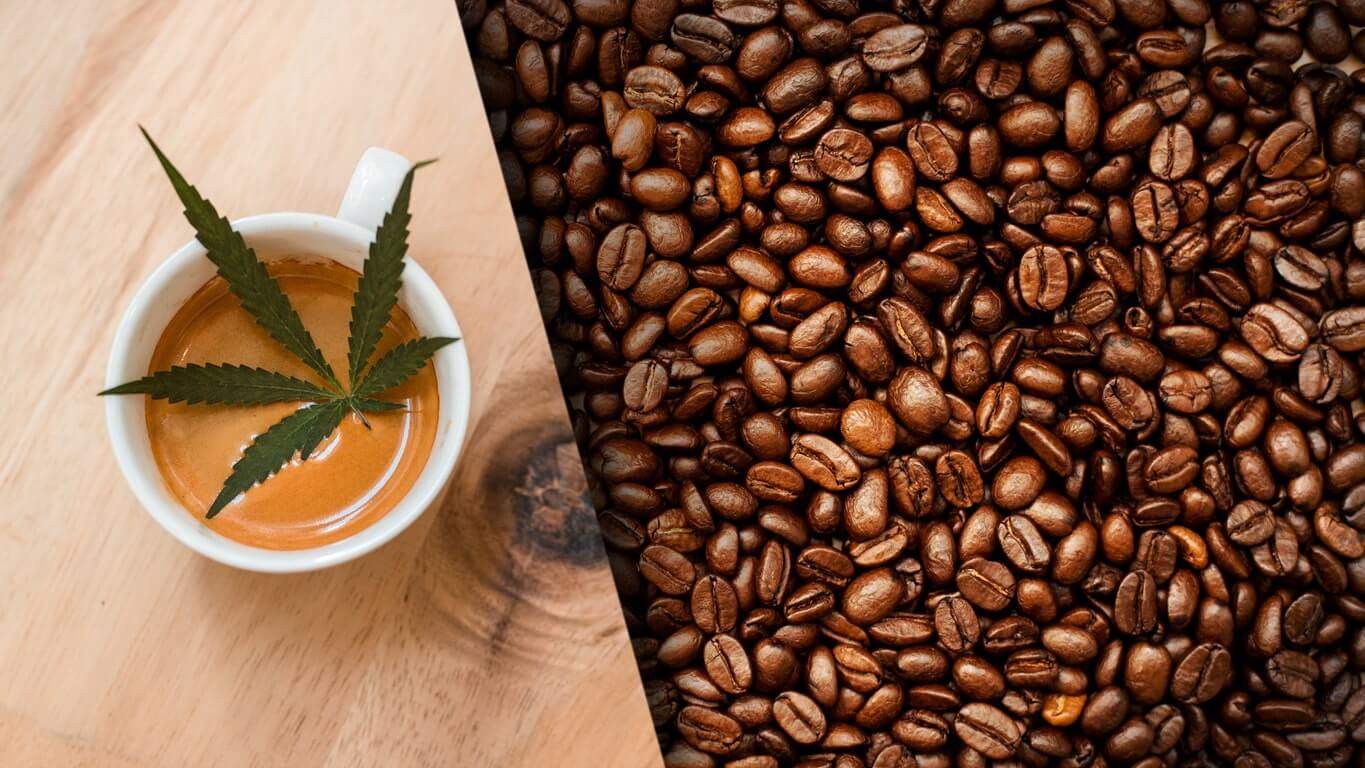 CBD Marketing – Coffee – Branding Los Angeles CBD Marketing - Coffee - Branding Los Angeles