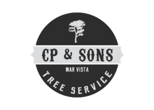 branding firm los angeles