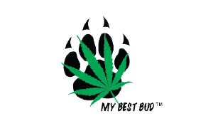 Cannabis Advertising Agency