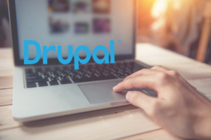 Drupal Web Development Services