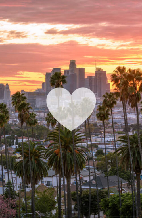 We Love LA How to Grow your Social Media in 2021