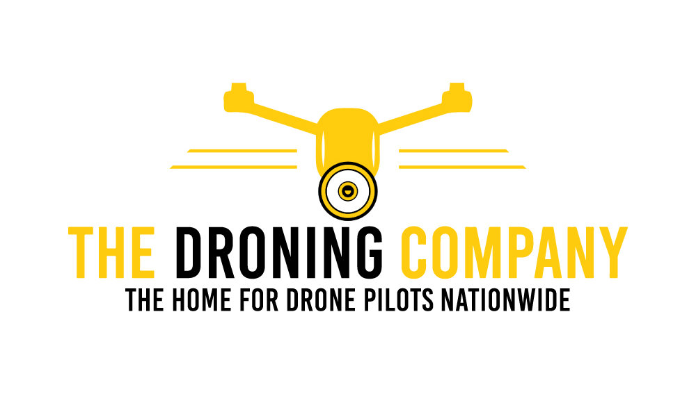 TheDroningCompanyLogo