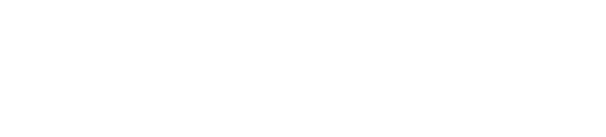 Branding Strategies